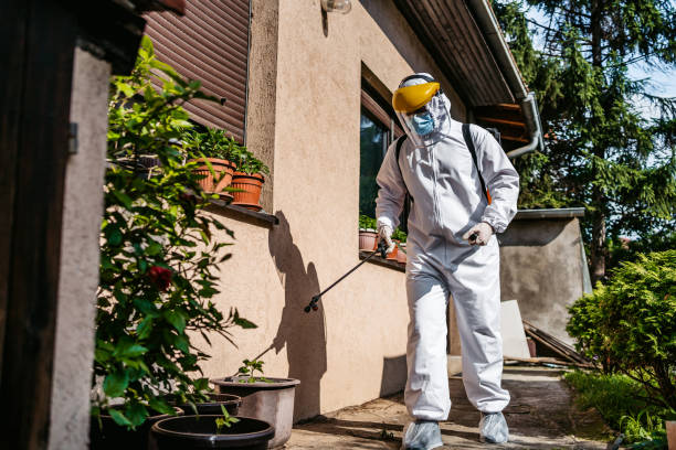Best Pest Control Near Me  in Storrs, CT